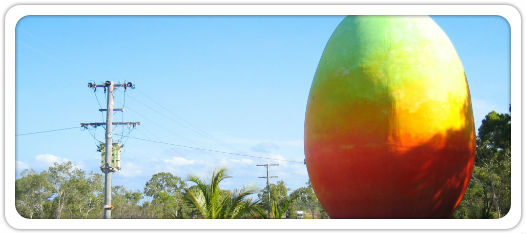 Big Mango - mangue géante en Australie