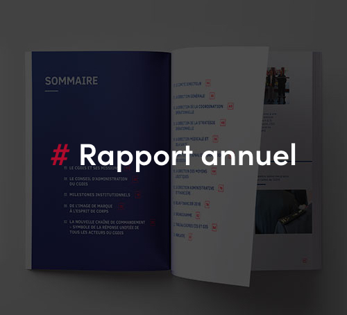 Rapport annuel
