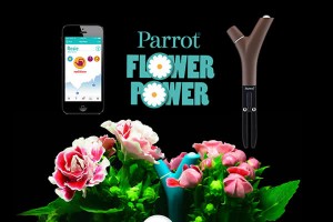 Parrot Flower Power